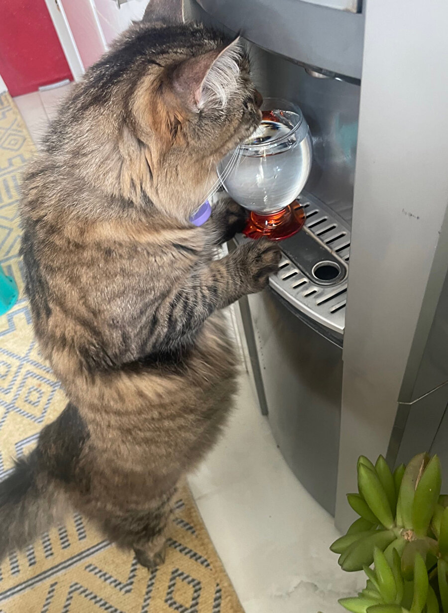 ​Su içsem yarıyor