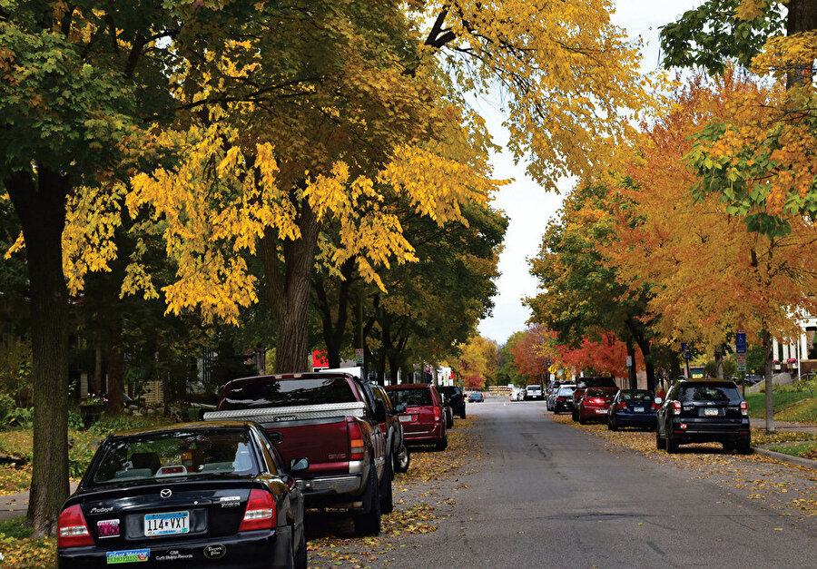 Minnesota'da bir mahallenin ağaçlı sokaklarından nefis sonbahar manzarası.