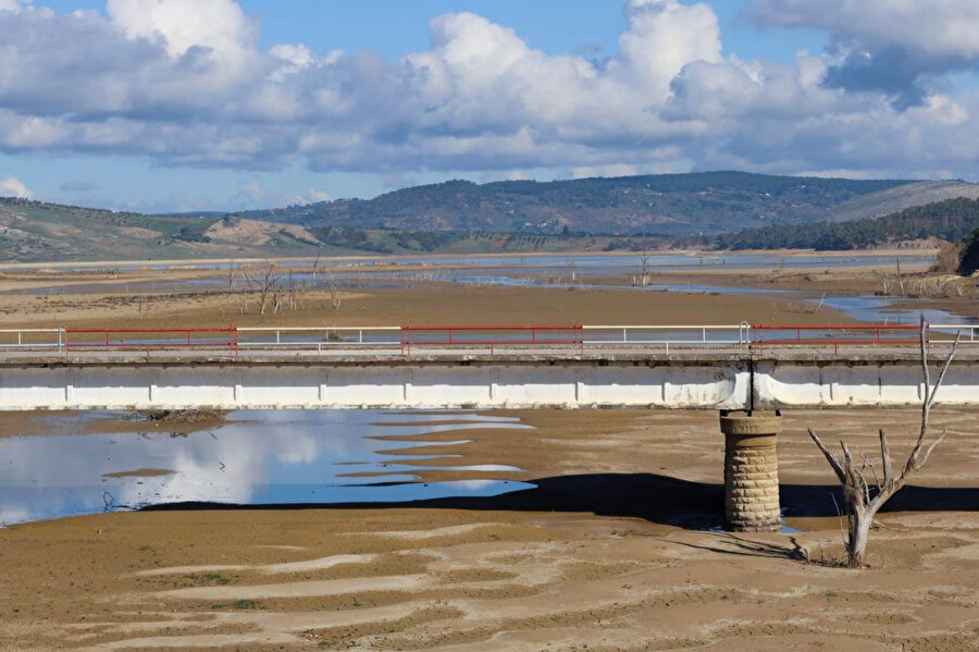 Başkent Tunus'un batısındaki Nafza'da, su seviyesi azalan Sidi el-Barrak barajı üzerinde bir köprü görülüyor.