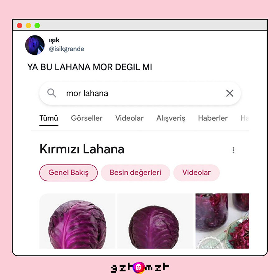 Bu lahana pembe değil mi?