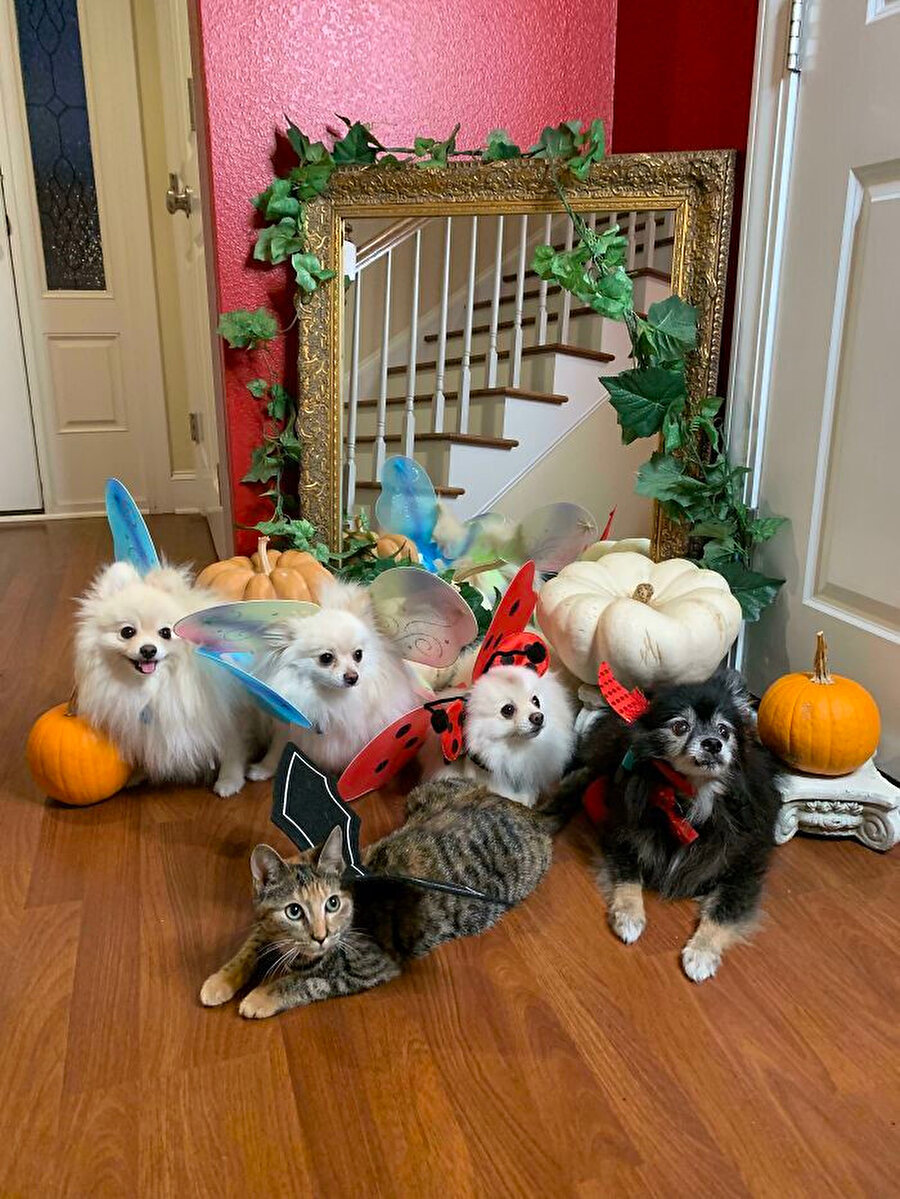 Apartman günü için toplandık 