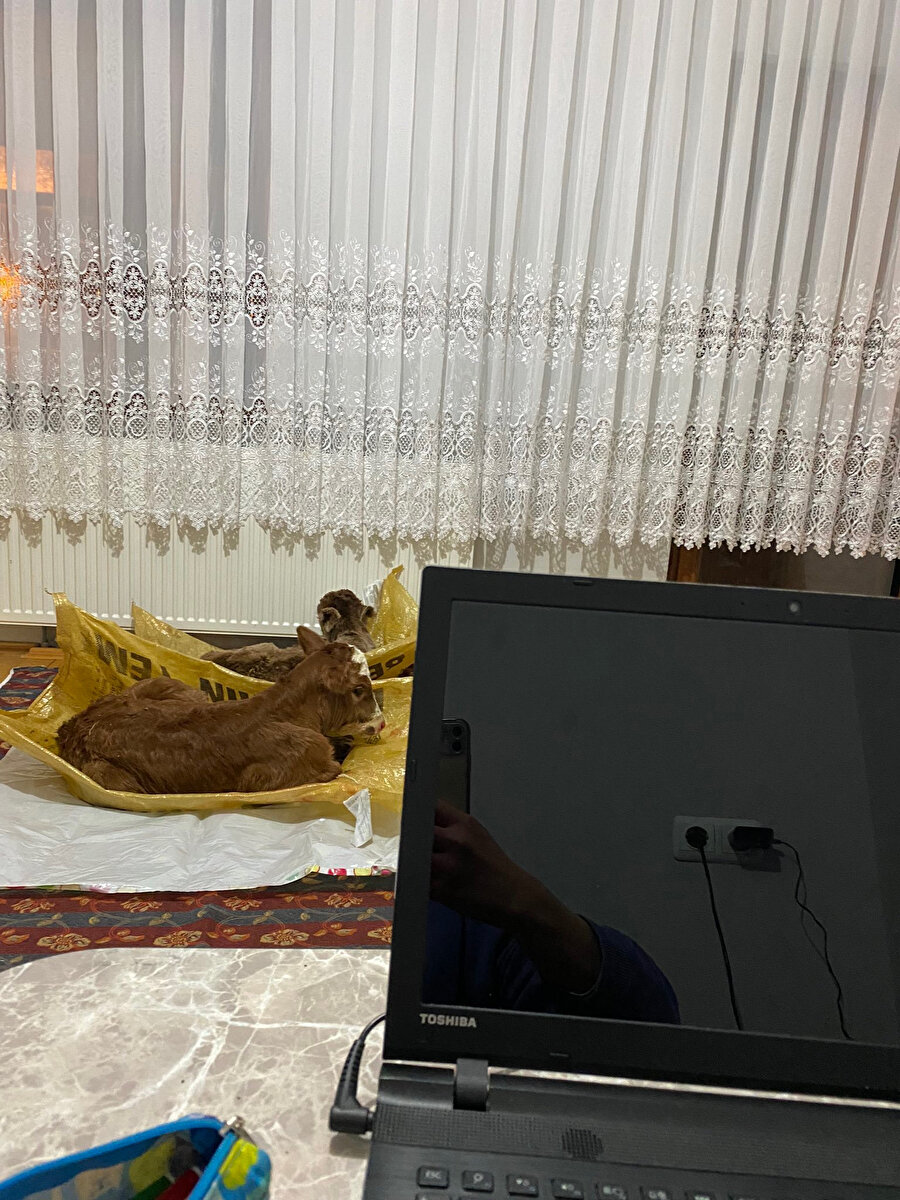 Hocam ben kamerayı açmasam olur mu?