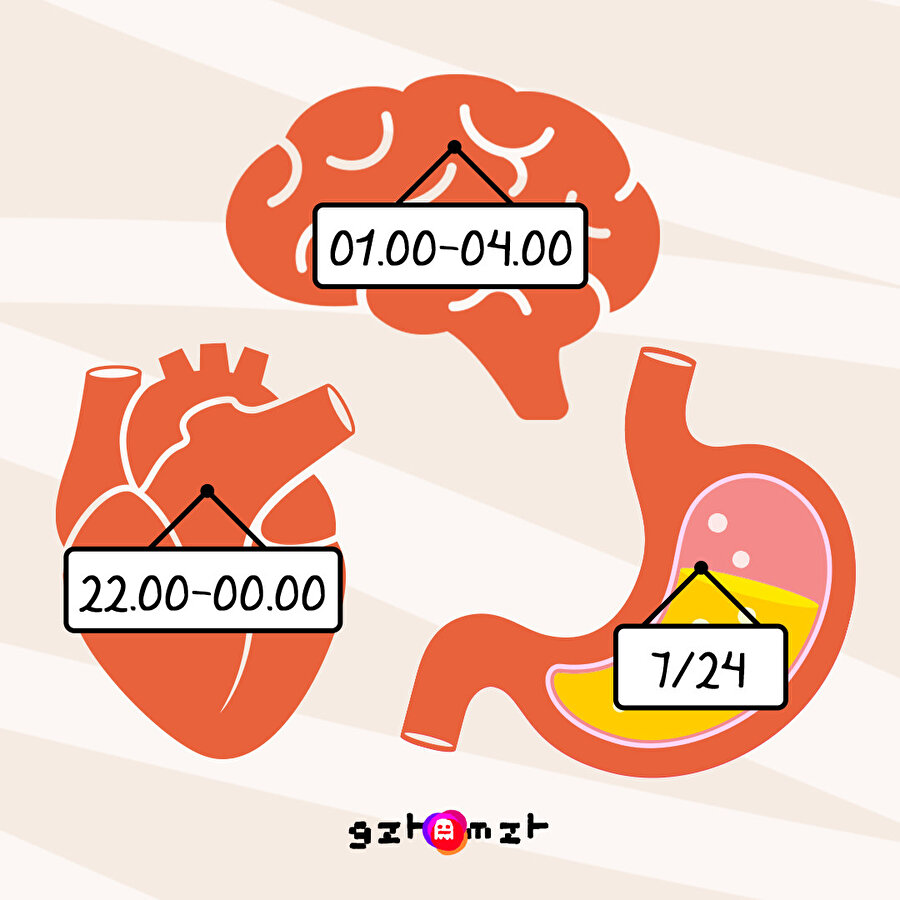 Benim mesai saatleri