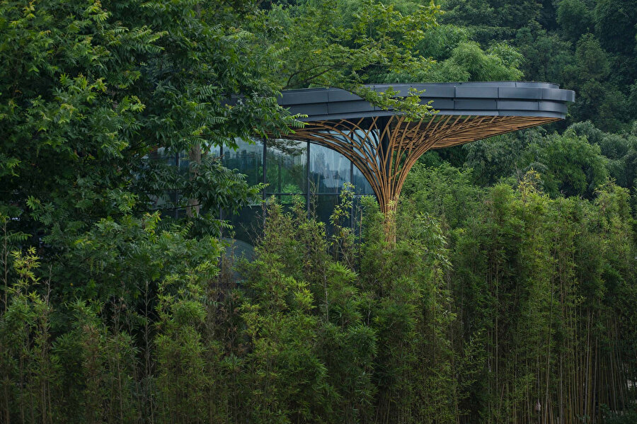 Bambu ormanının içinde kamufle olan yapı. 