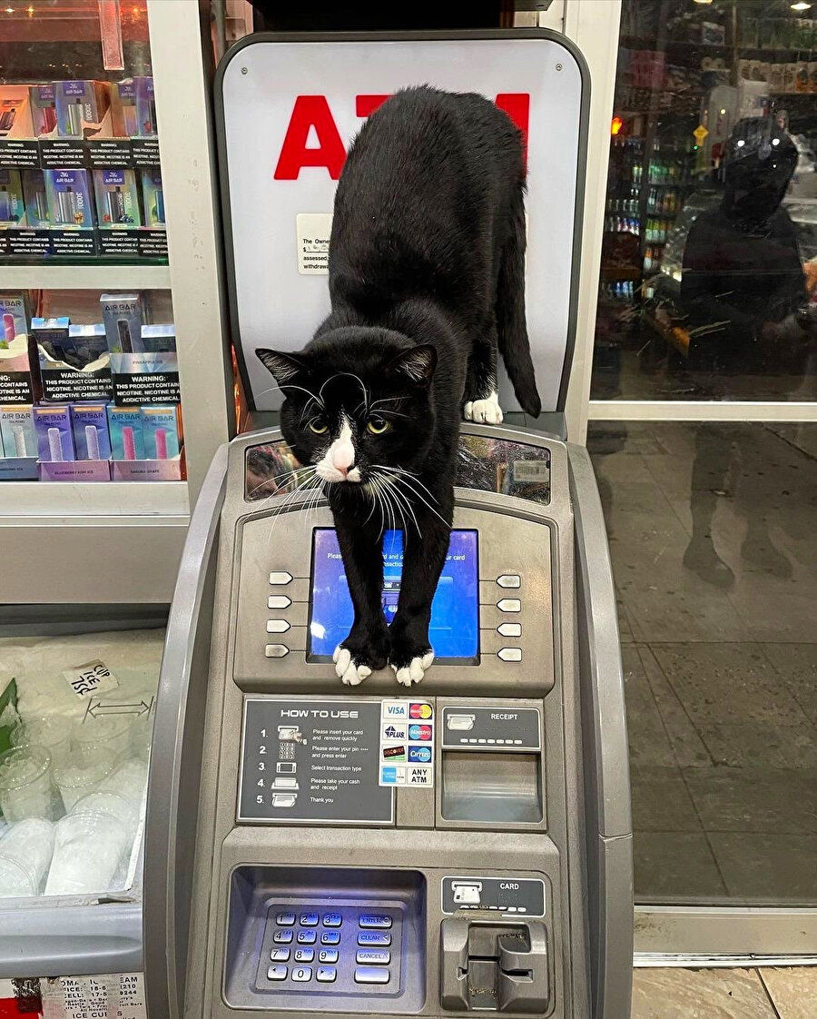 Hesabı görmemi engellemeye çalışırken babam