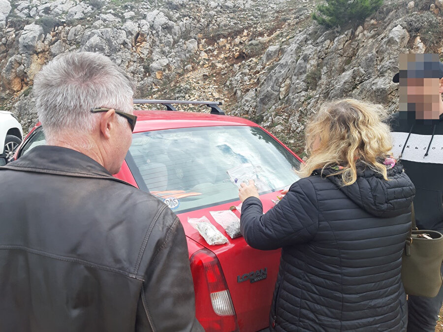 İki Slovakyalı Amasya'da 12 farklı bitkiyi topladı: 488 bin TL ceza aldı