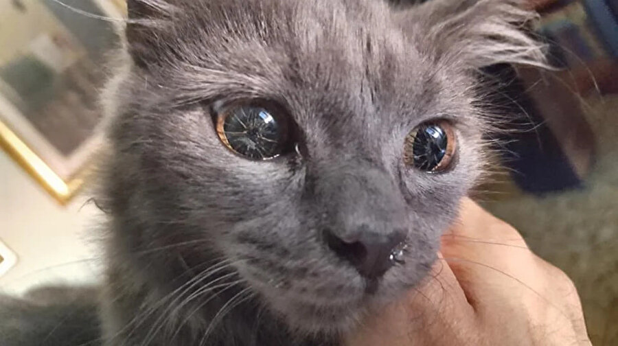 ​Buna mı kırıldın cidden?