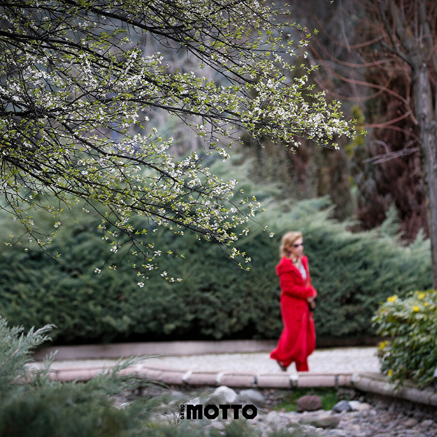 Ankara'da çiçekler arasında bir yürüyüş