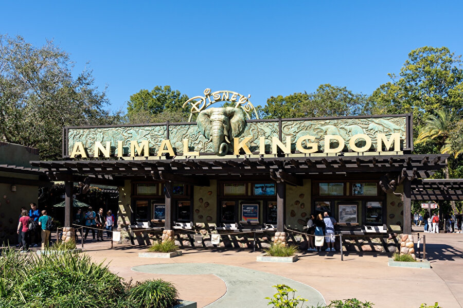 Disney’s Animal Kingdom, Amerika Birleşik Devletleri.