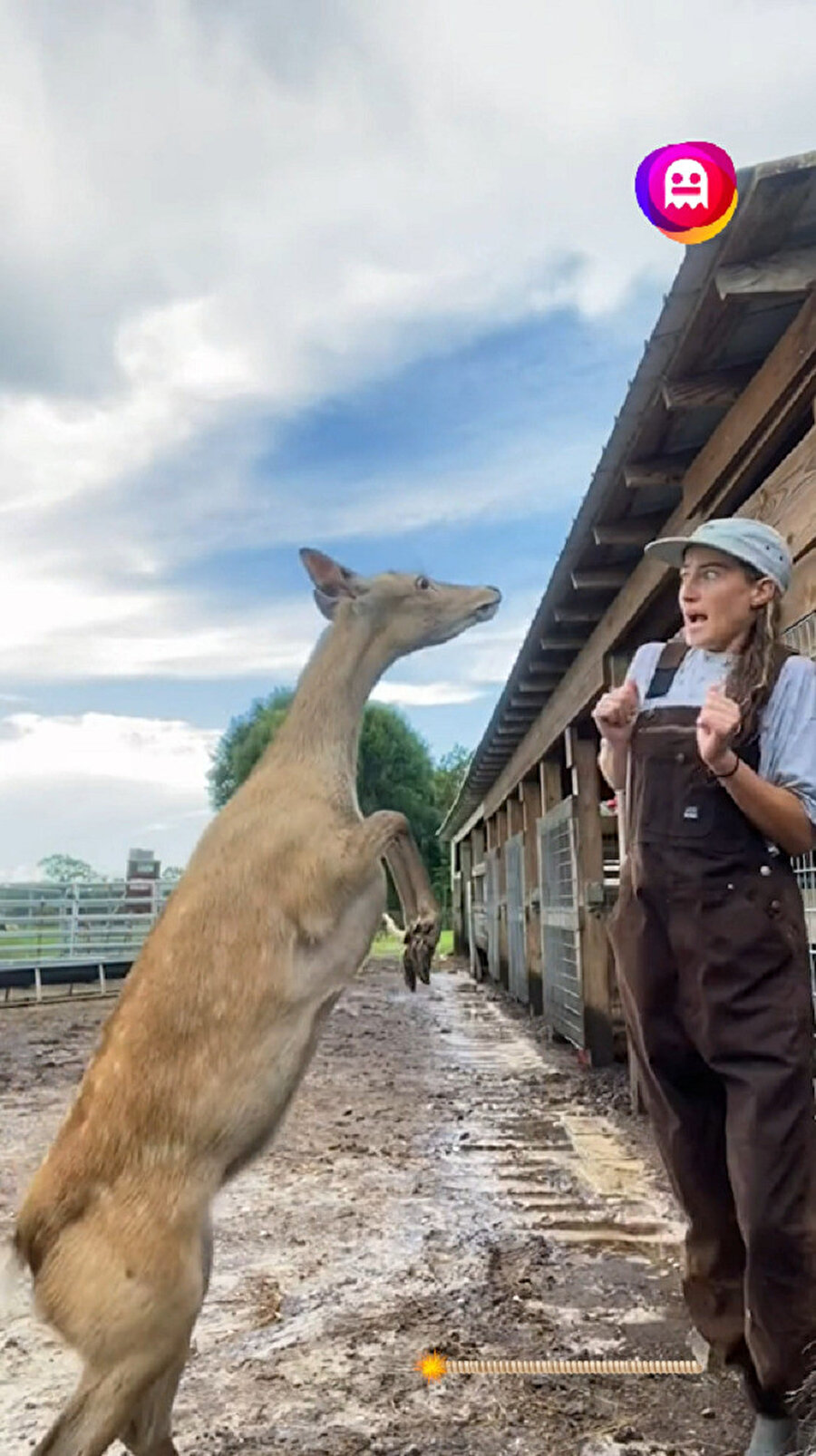 ​Çiftlikte yaşıyorsun diye mutlusun sanıyorlar