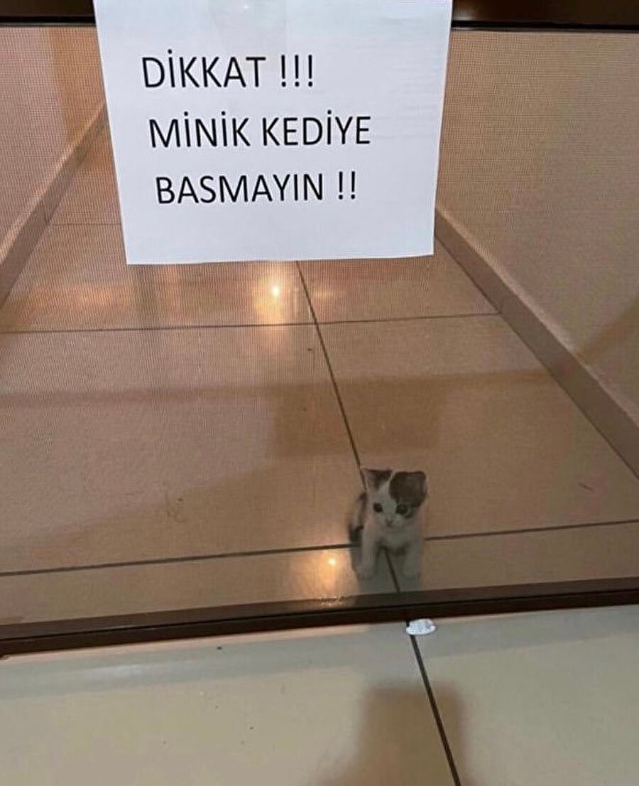 ​Hislerime karşı almam gereken önlemler