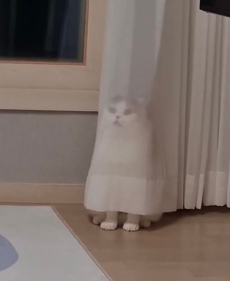 Annem gelene kadar bulamadığım çoraplar