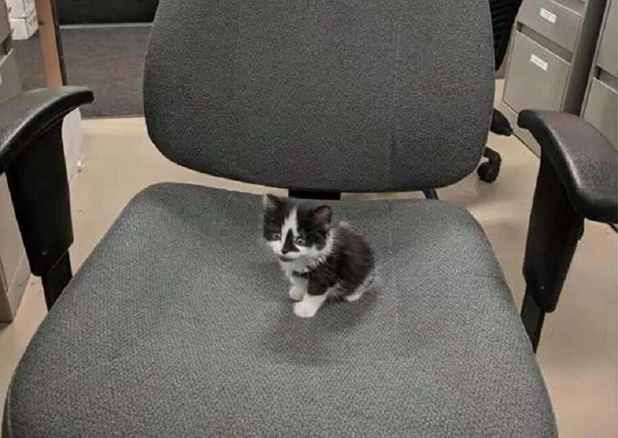 Ofisteki ilk iş günüm