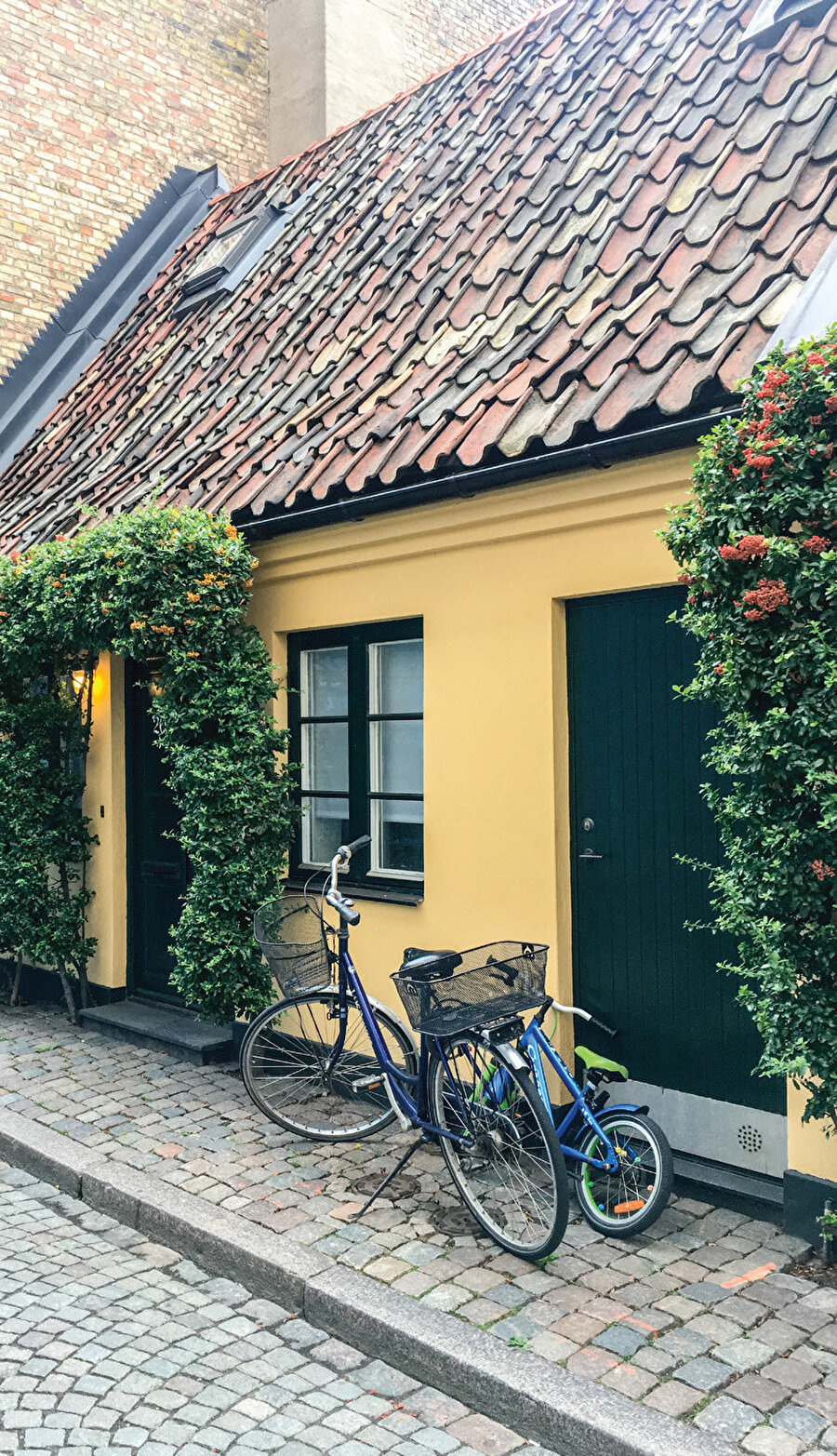 Malmö, bisiklet altyapısı konusunda ayrışarak ön plana çıkmaktadır.