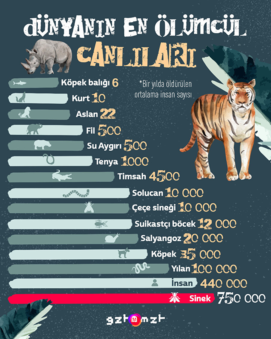 Dünyanın en ölümcül canlıları