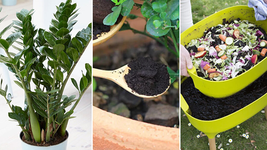 Evde doğal gübre yapımı