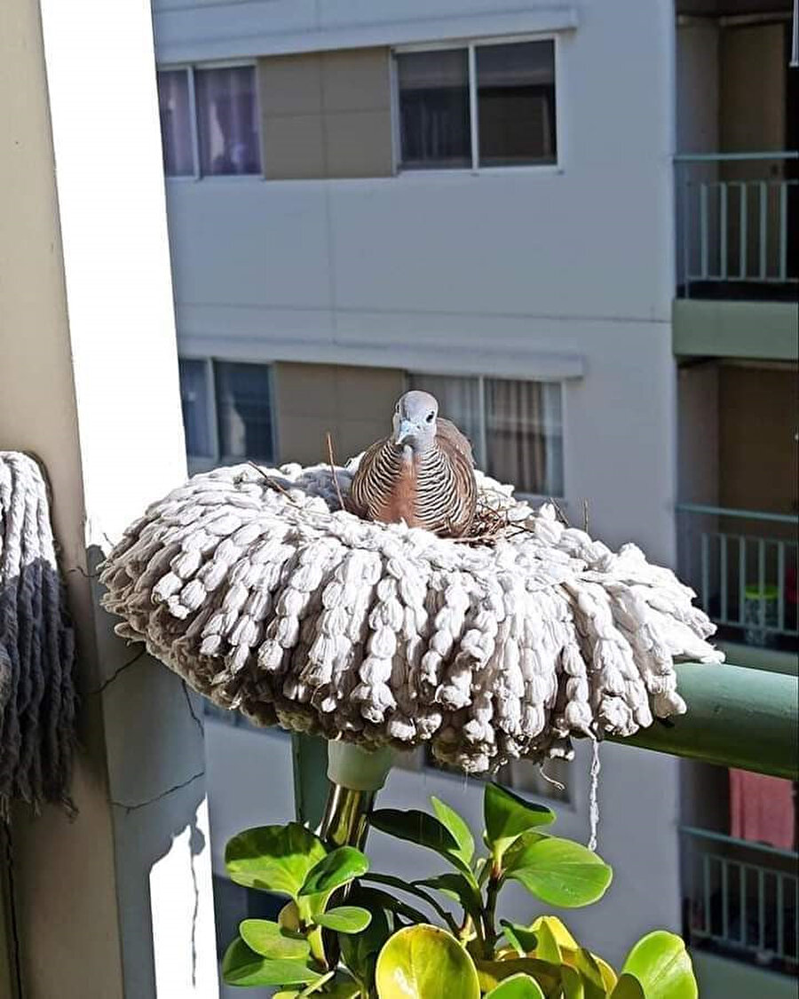 Pratik çözüm deyince de sen