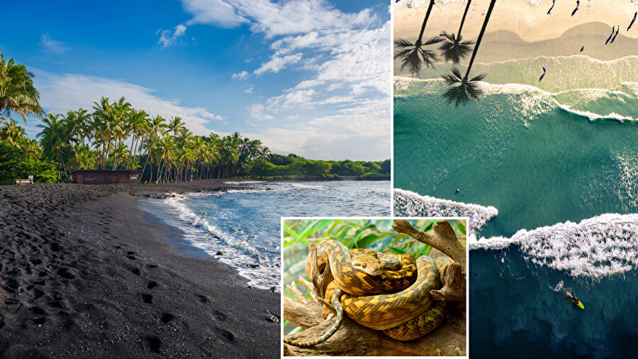 Dünyanın en tehlikeli 7 plajı.