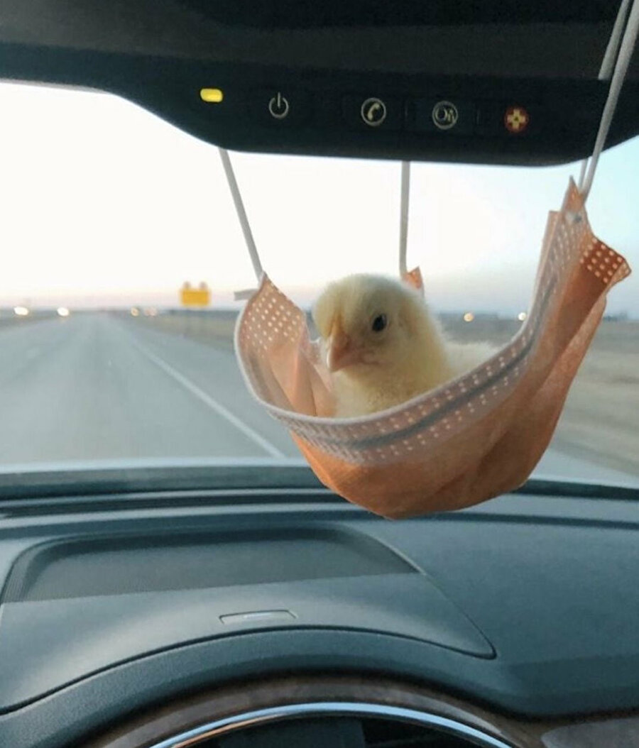 Yapalım bakalım yolculuk