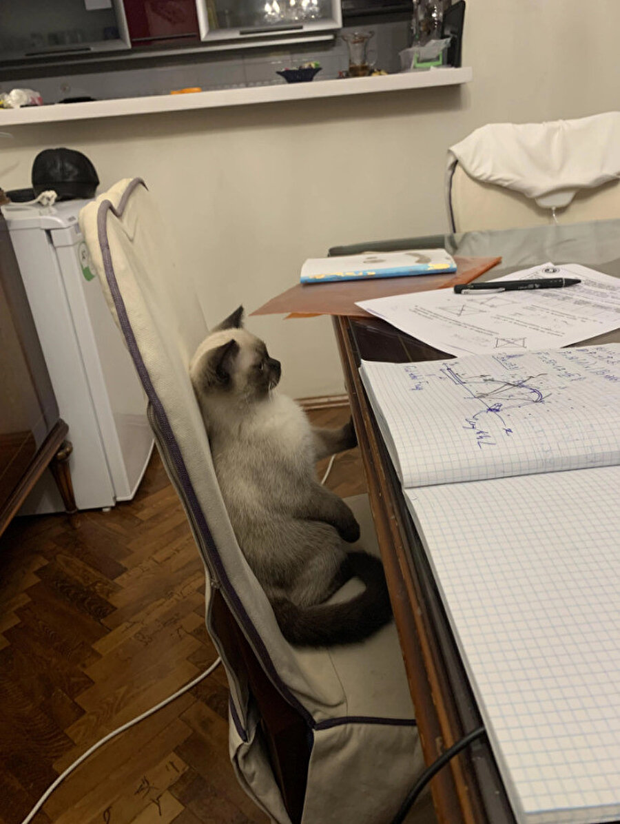 ​Ayaklarım yere değmiyor