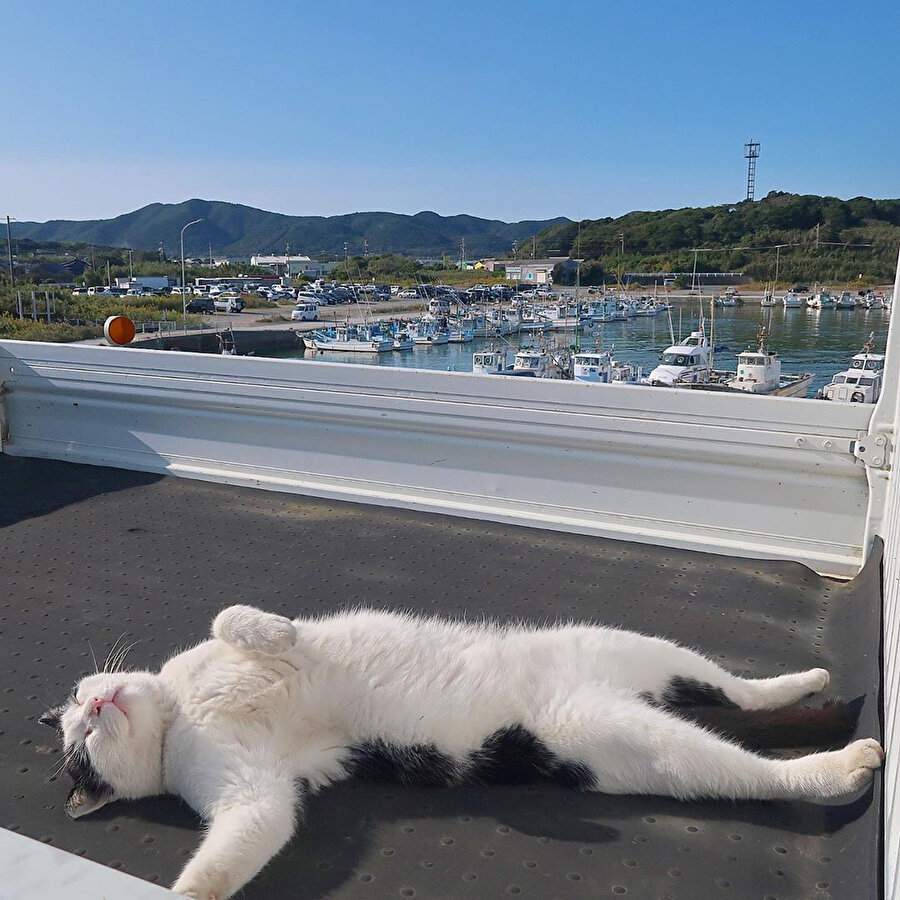 Şöyle bir içim geçse dediğim ortam