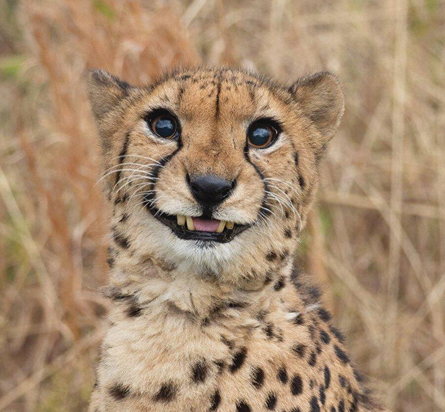 Şefim bugün yemekler benden dedi