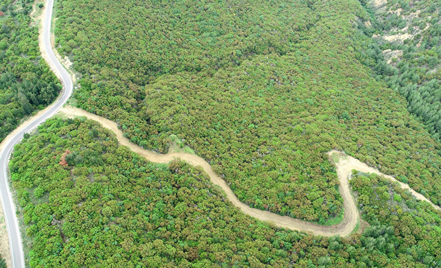 108 yıl sonra bulunan 28. Alay Şehitliği ihya edilecek