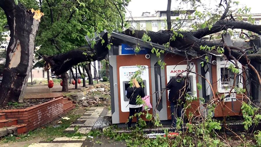 Şaşkına çeviren olay: ATM'lerin üzerine ağaç devrildi, para çekmeye devam ettiler