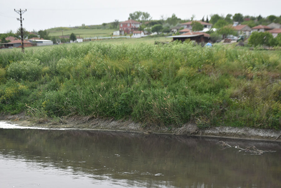 Ergene Nehri'nin suyu üçüncü derece kirli çıktı