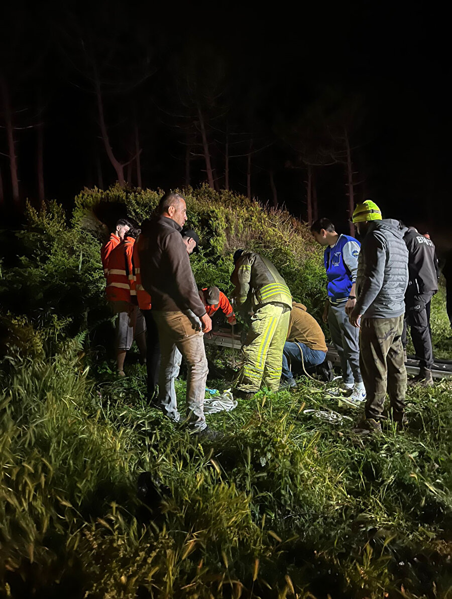 Beykoz'da kuyuya düşen bir kişi ve kedi kurtarıldı