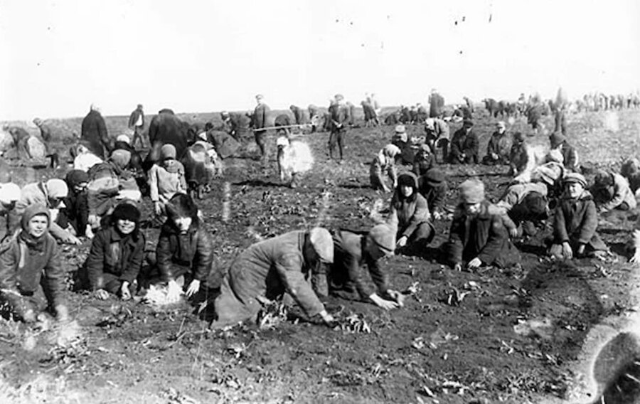 Çocuklar, 1933 yılında Sovyetlerin sebep olduğu kıtlık yüzünden hayatta kalabilmek için donmuş patatesleri çıkarıyorlar.