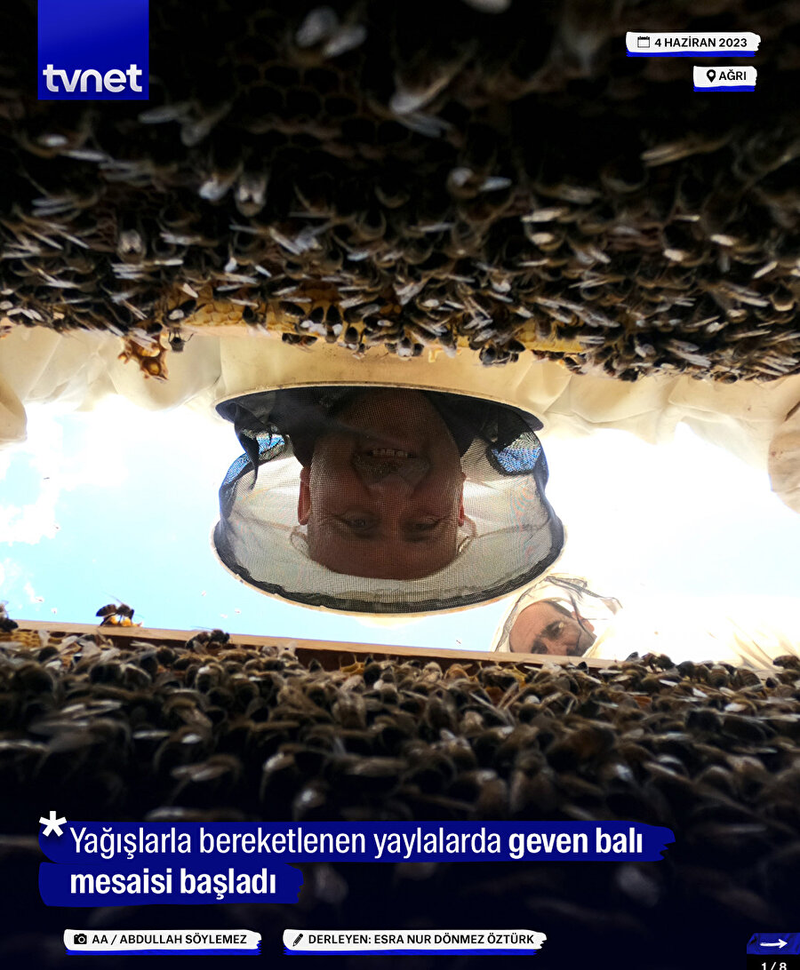 Yağışlarla bereketlenen yaylalarda geven balı mesaisi başladı