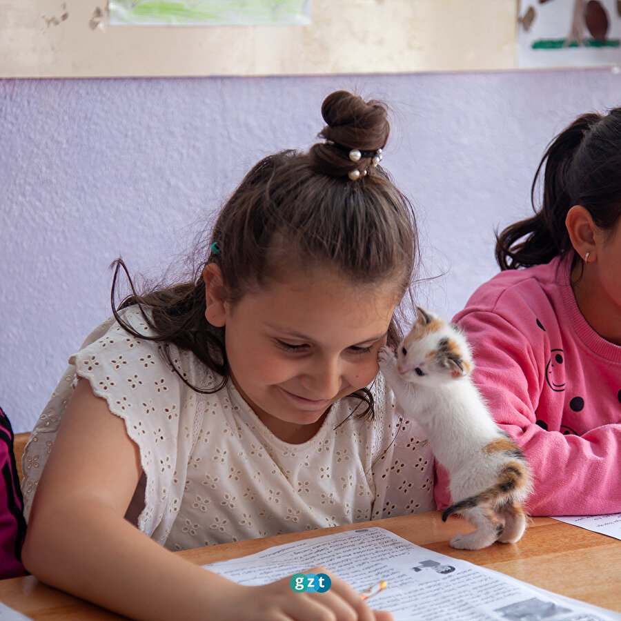 Sınıfta doğum yapan kedi ile yavrularına öğretmen ve öğrencileri sahip çıktı