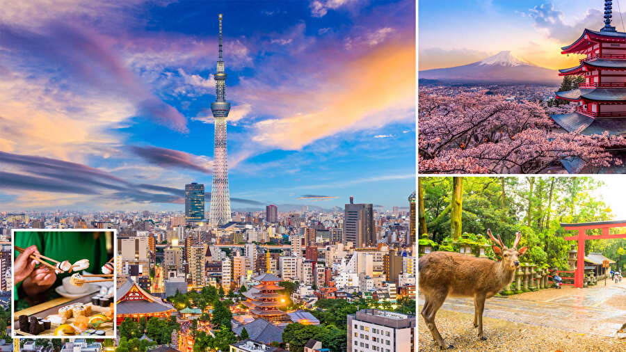 Japonya’da yapılacak en iyi 10 şey.