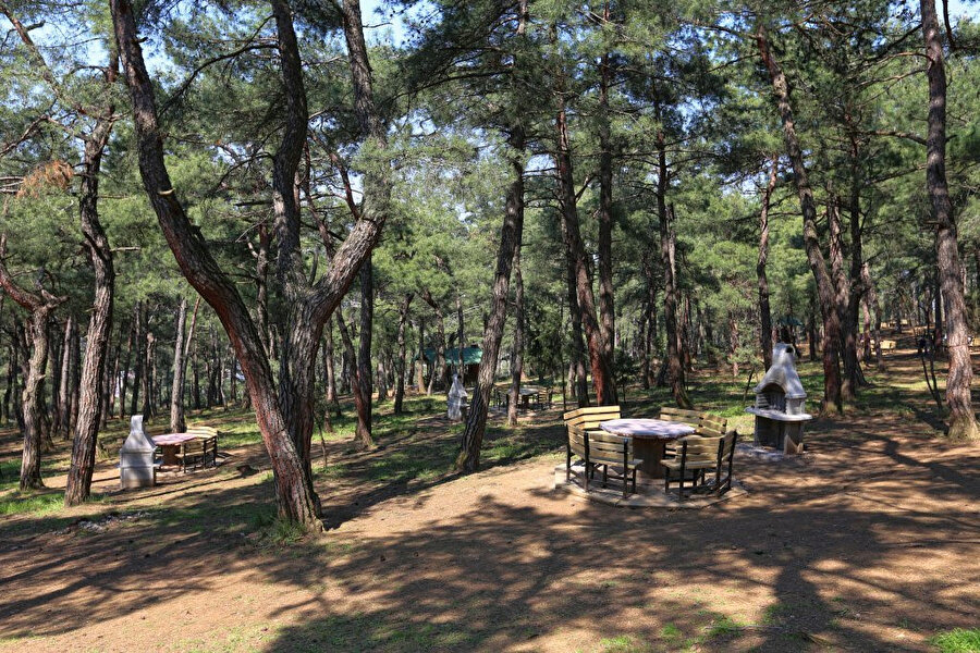 Balat Atatürk Ormanı.