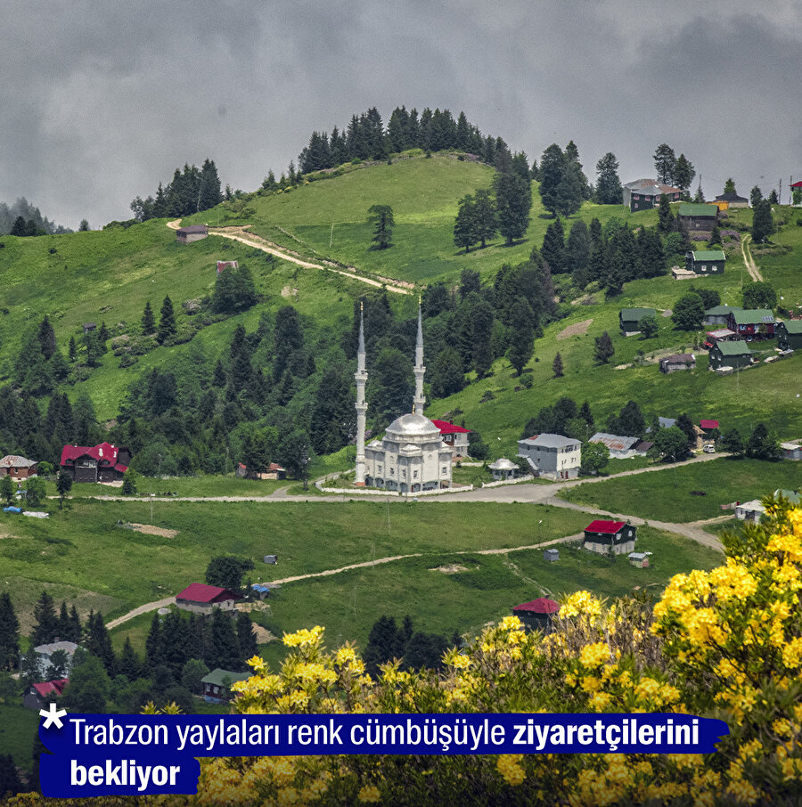 Trabzon yaylaları renk cümbüşüyle ziyaretçilerini bekliyor