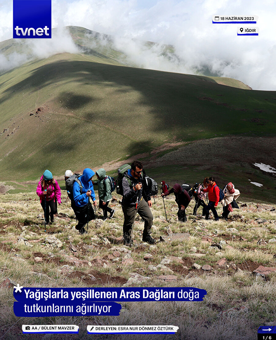 Yağışlarla yeşillenen Aras Dağları doğa tutkunlarını ağırlıyor