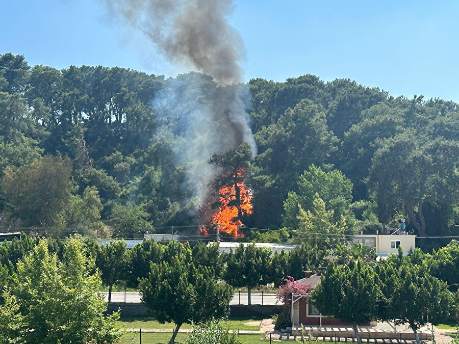Antalya'da orman yangını