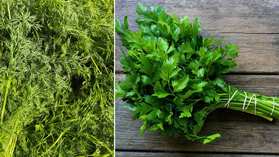 Tek bir malzemeyle sebzelerini diri tutun! 