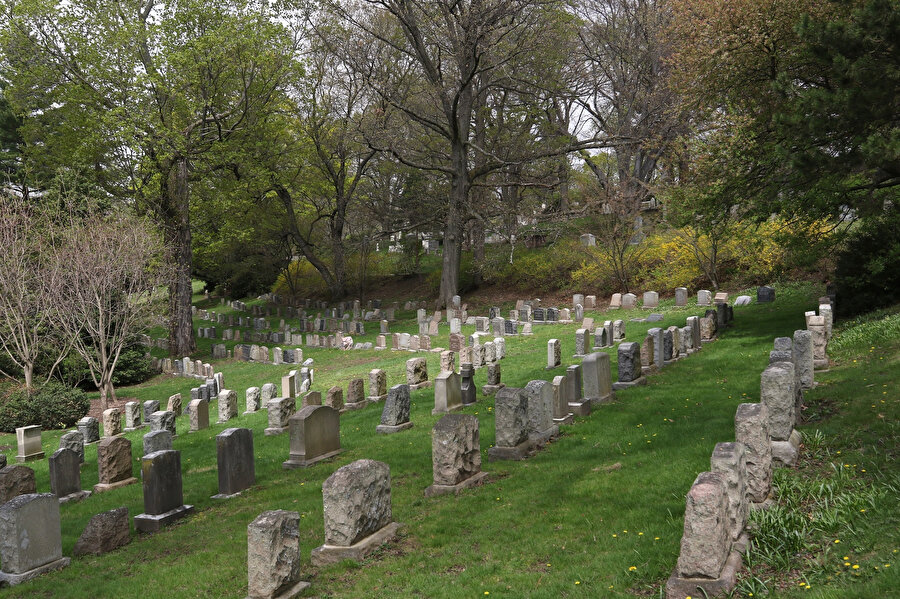 Mount Auburn Mezarlığı.