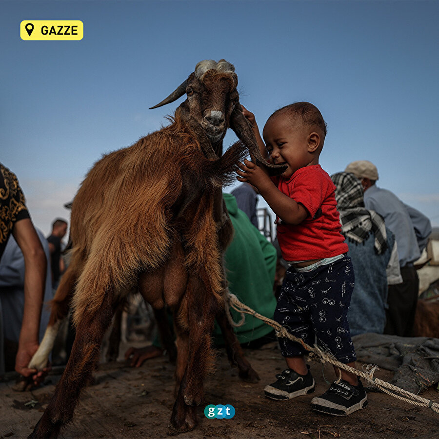 Dünyadan Kurban Bayramı hazırlıkları