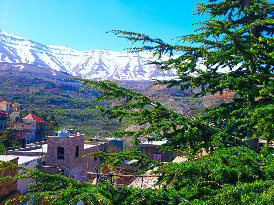 Beyaz ve yeşil, Lübnan coğrafyasının iki canlı rengini oluşturur.