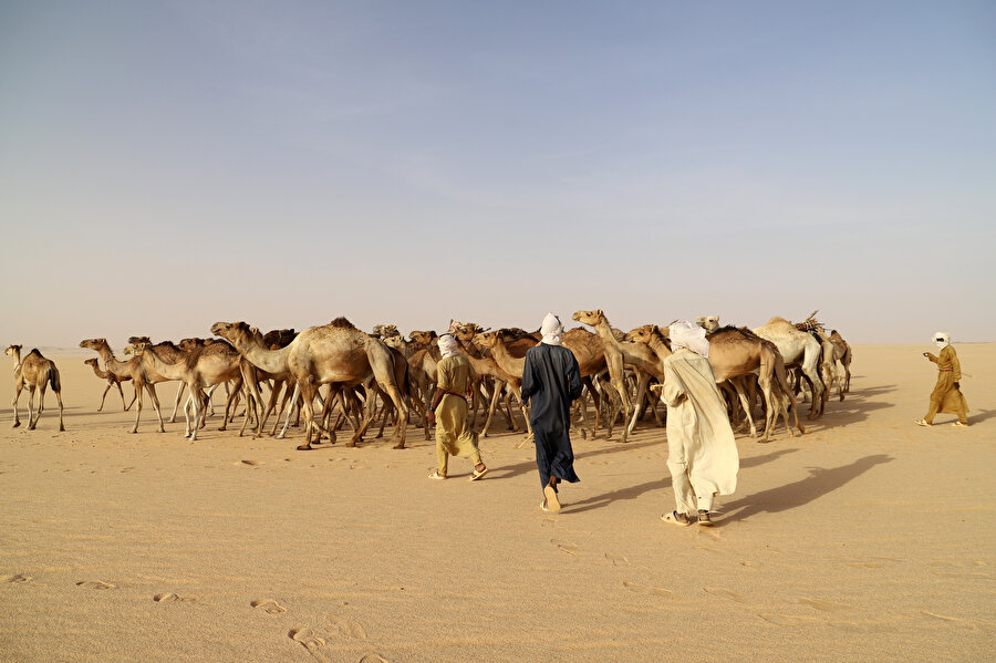 Nijer'in Sahra Çölü'ndeki Djado bölgesindeki kervanlar, develerini Libya'da sonlanan 45 günlük bir yolculuğa çıkarıyor. Deve kervanları, sakinlerinin büyük çoğunluğunun yakındaki taş ocaklarından çıkarılan tuz ve kil duvarları olan geleneksel evlerde yaşadığı Bilma'da mola vererek tuz alışverişini canlı tutmada rol oynuyor.