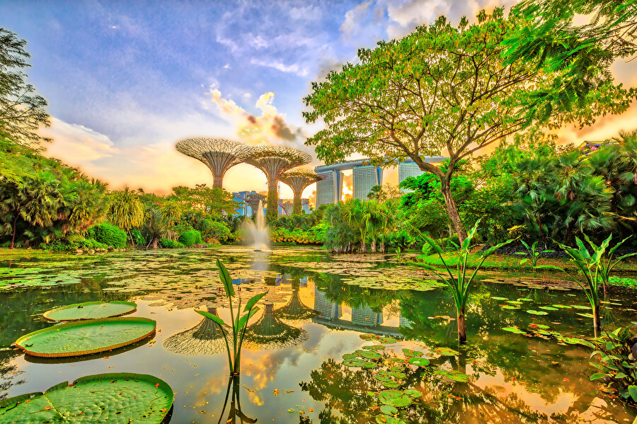 Körfez Bahçeleri, Singapur.