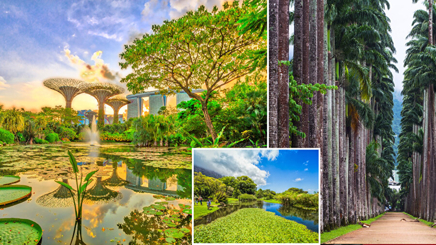 Dünyanın en güzel 5 botanik bahçesi.