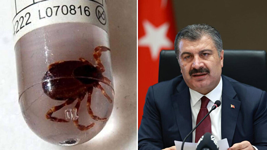 ​Sağlık Bakanı Fahrettin Koca KKKA vakalarında artış olduğunu açıkladı