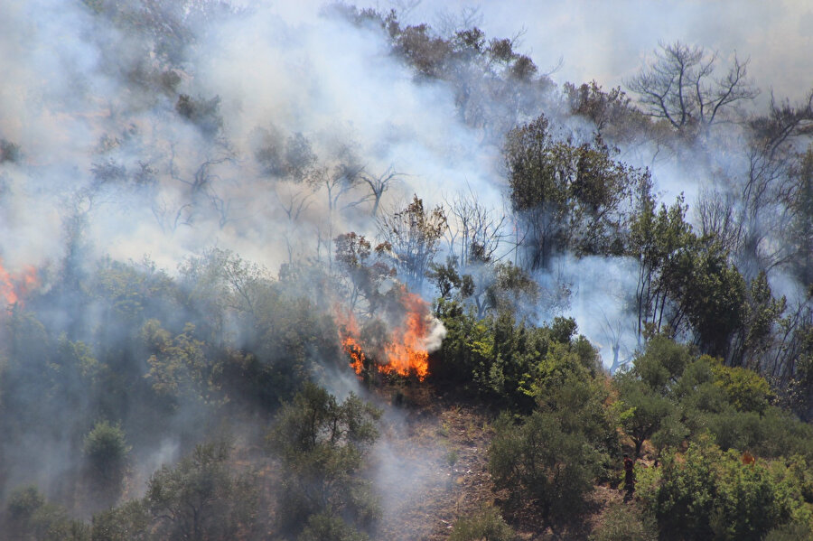 Hatay Belen'de orman yangını
