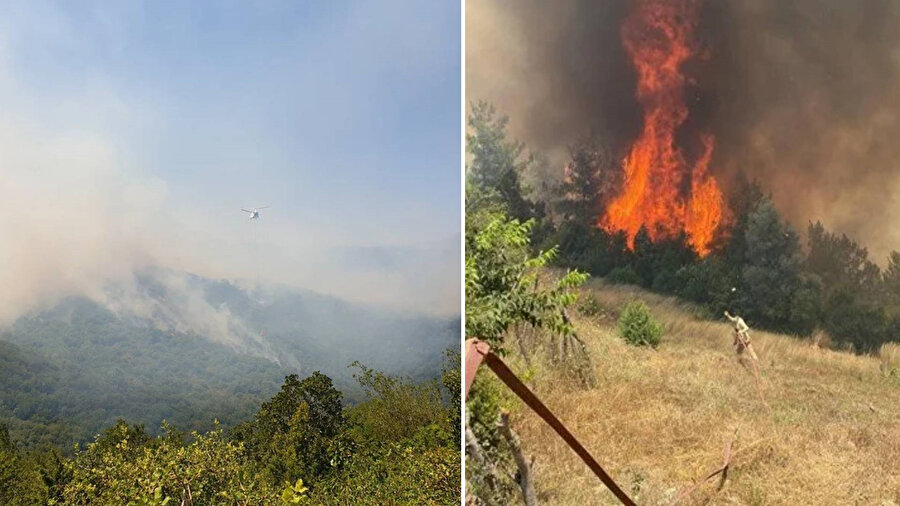 Üç ilde orman yangını