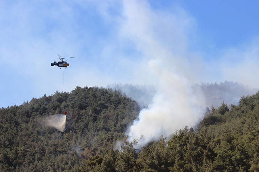 5 ilde orman yangını: Alevlerle mücadele sürüyor