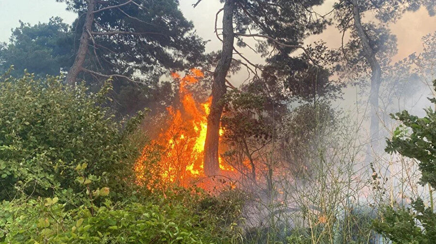 Çanakkale'de orman yangını: Bir köy boşaltıldı